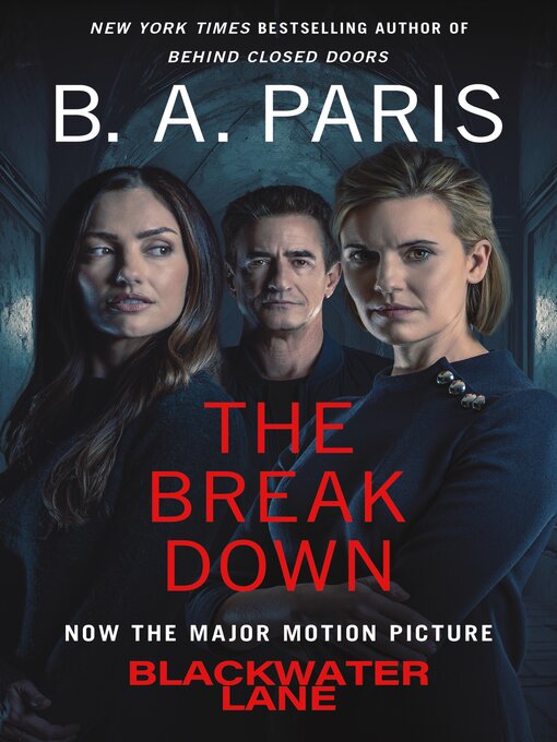 Title details for The Breakdown by B.A. Paris - Wait list